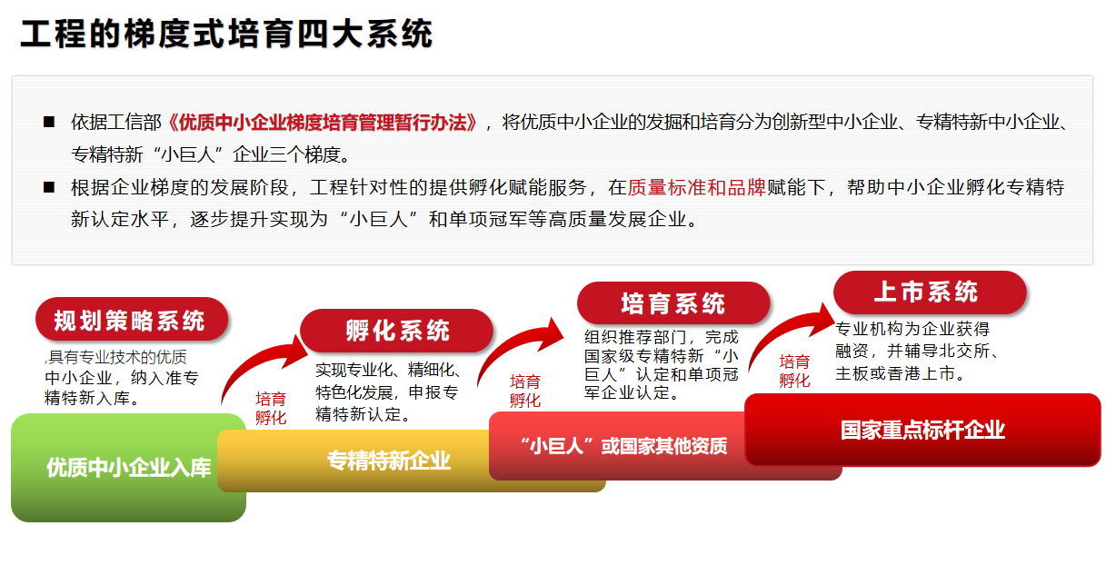 優(yōu)質企業(yè)準專精特新入庫工程